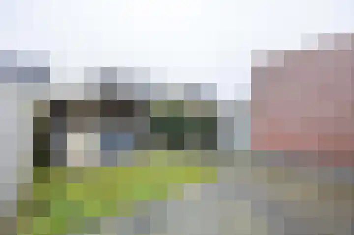 Pascher Harstraat 22 Ysselsteyn thumbnail 26