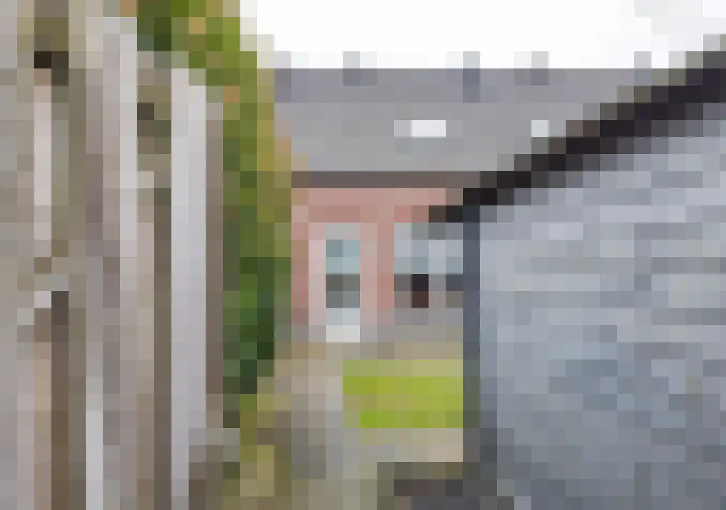 Pascher Harstraat 22 Ysselsteyn thumbnail 27