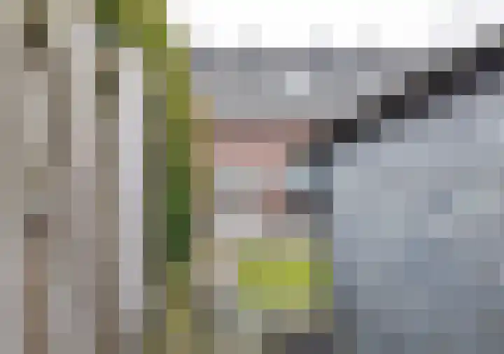 Pascher Harstraat 22 Ysselsteyn thumbnail 27