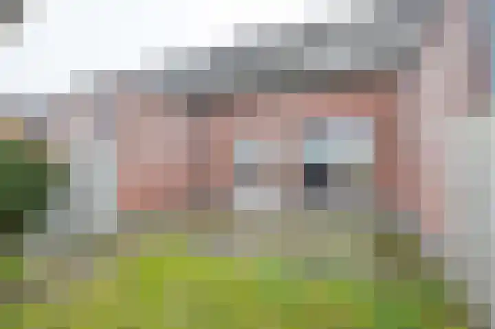 Pascher Harstraat 22 Ysselsteyn thumbnail 28