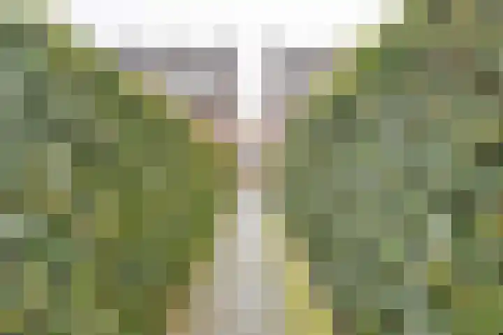 Pascher Harstraat 22 Ysselsteyn thumbnail 29