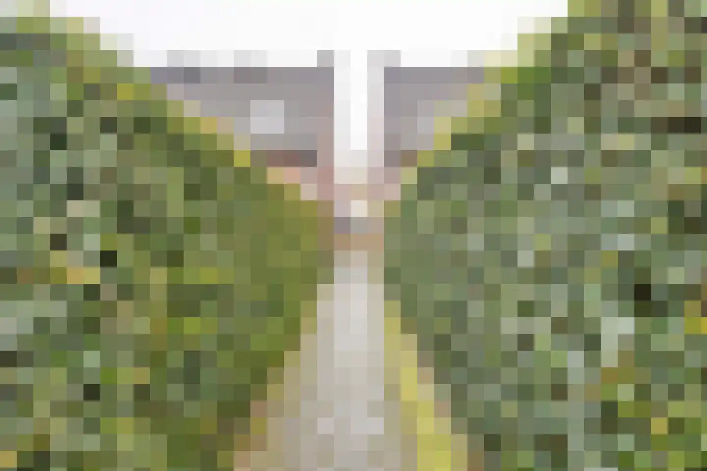 Pascher Harstraat 22 Ysselsteyn thumbnail 29