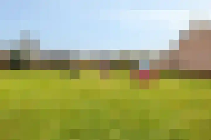 Pascher Harstraat 22 Ysselsteyn thumbnail 4