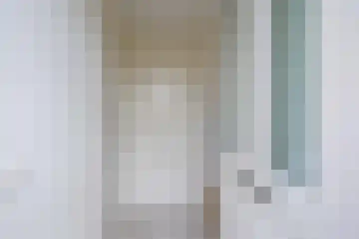 Pascher Harstraat 22 Ysselsteyn thumbnail 6