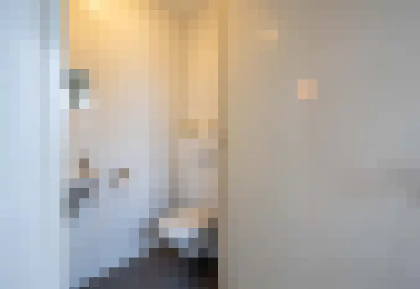 Pascher Harstraat 22 Ysselsteyn thumbnail 8