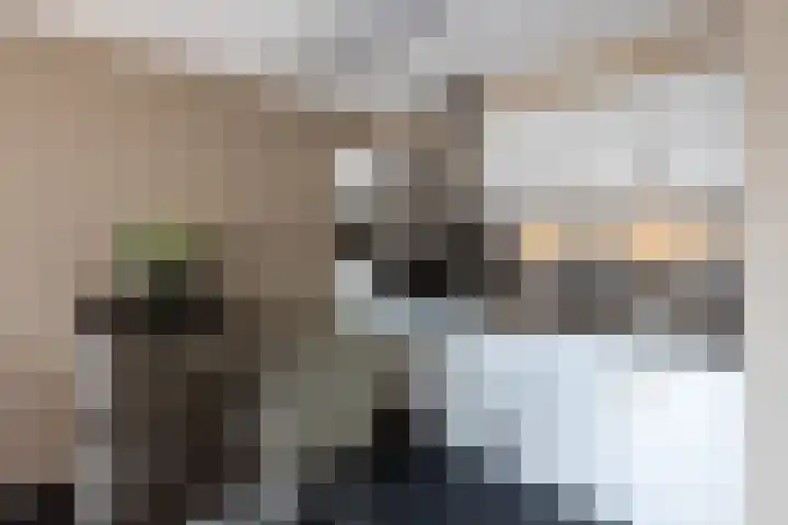 Pascher Harstraat 31 Ysselsteyn thumbnail 15