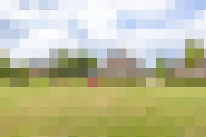 Pascher Harstraat 31 Ysselsteyn thumbnail 30