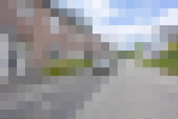 Pascher Harstraat 31 Ysselsteyn thumbnail 31