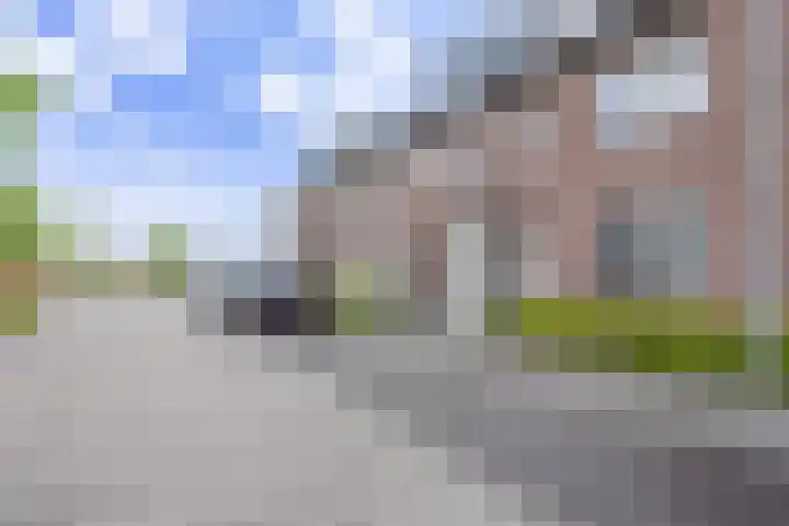 Pascher Harstraat 31 Ysselsteyn thumbnail 32
