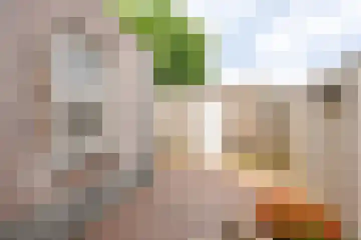 Pascher Harstraat 31 Ysselsteyn thumbnail 4