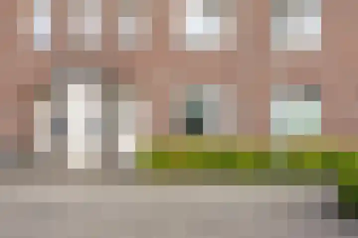Pascher Harstraat 31 Ysselsteyn thumbnail 6