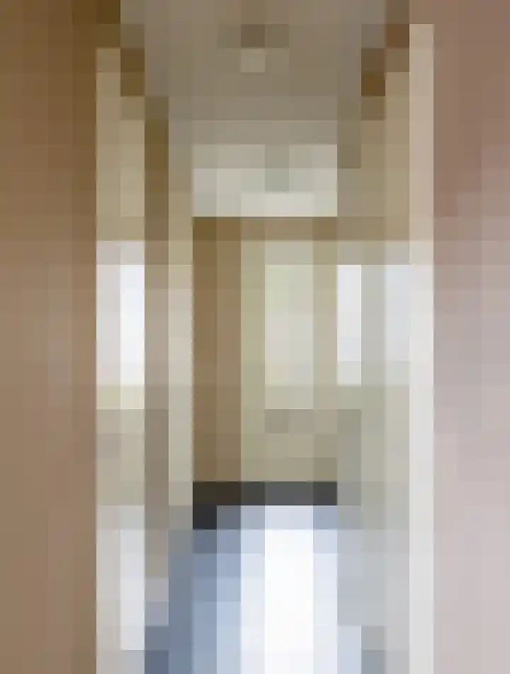 Pascher Harstraat 31 Ysselsteyn thumbnail 8