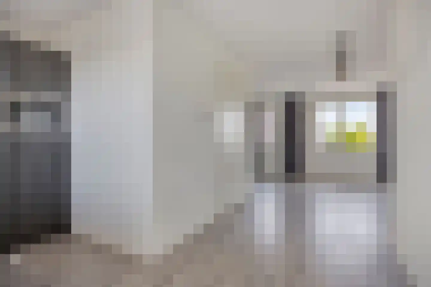 Pascher Harstraat 45 Ysselsteyn thumbnail 13