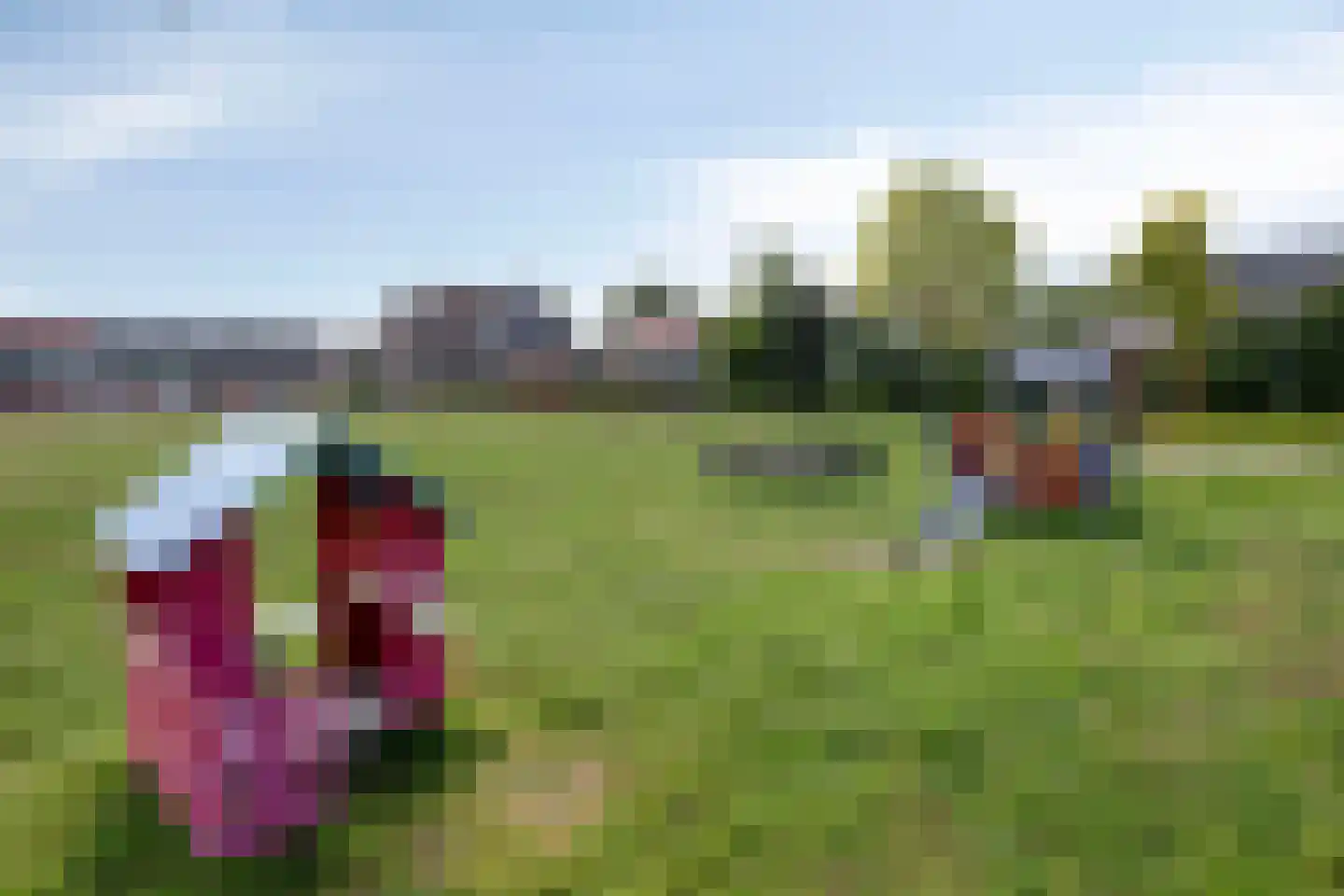 Pascher Harstraat 45 Ysselsteyn thumbnail 29