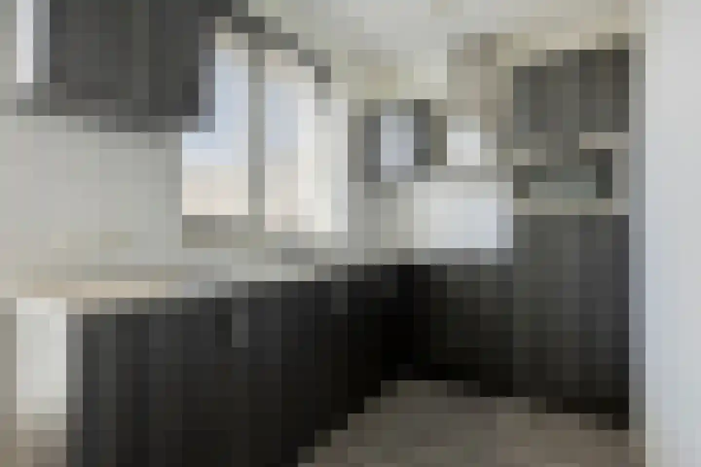 Pascher Harstraat 45 Ysselsteyn thumbnail 9