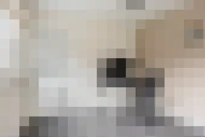 Pascherhof 16 Leunen thumbnail 28