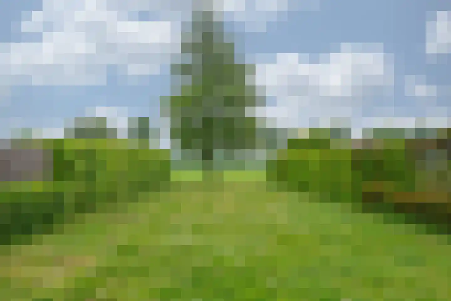 Pascherhof 24 Leunen thumbnail 51