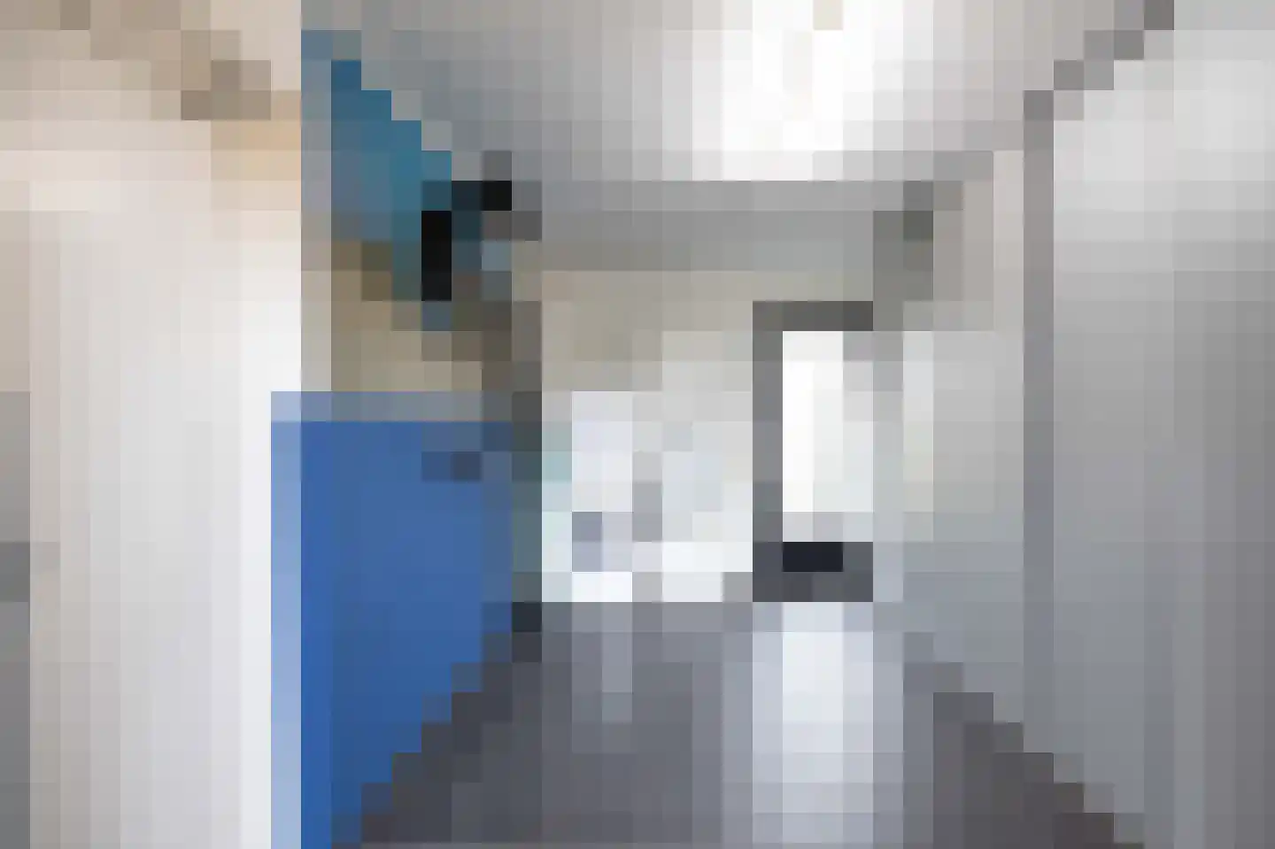Pascherhof 3 Leunen thumbnail 22
