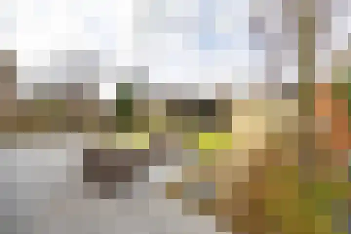 Pascherhof 3 Leunen thumbnail 37