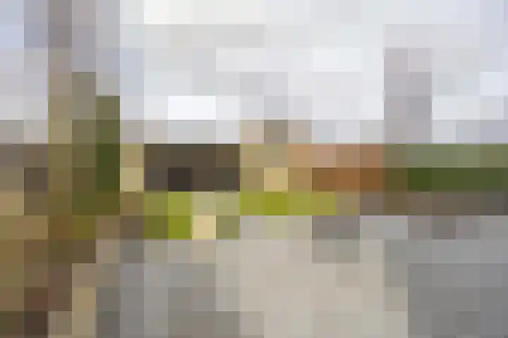 Pascherhof 3 Leunen thumbnail 38