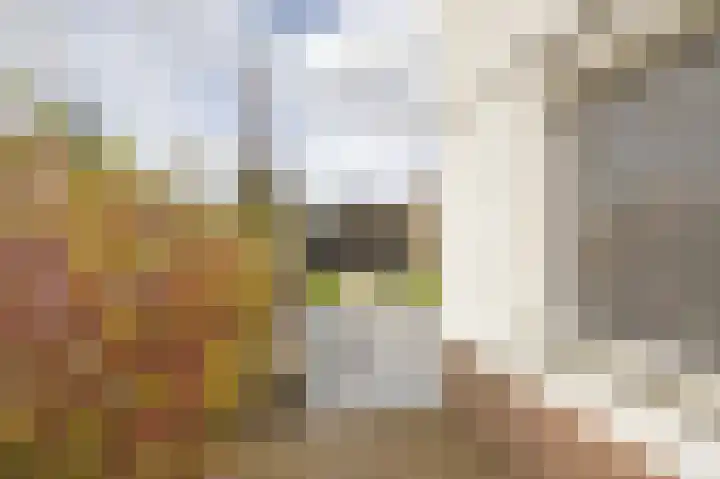 Pascherhof 3 Leunen thumbnail 39