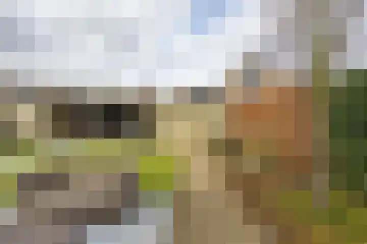 Pascherhof 3 Leunen thumbnail 40