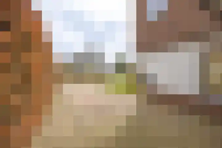 Pascherhof 3 Leunen thumbnail 44