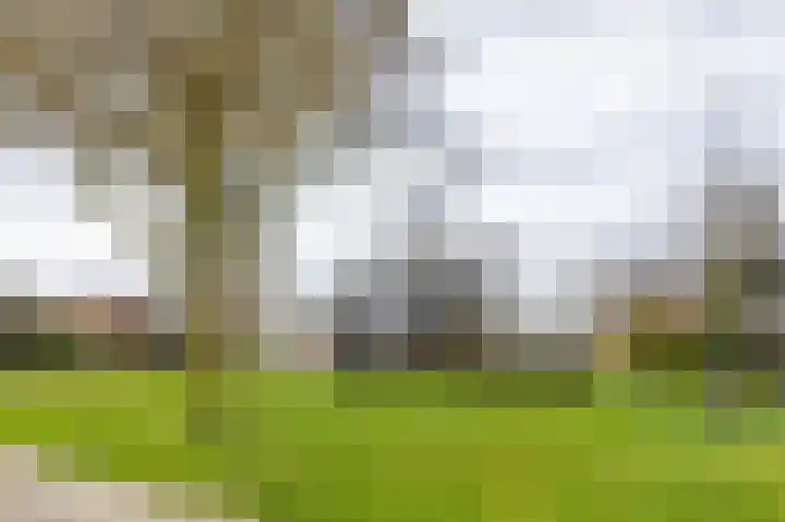 Pascherhof 3 Leunen thumbnail 47