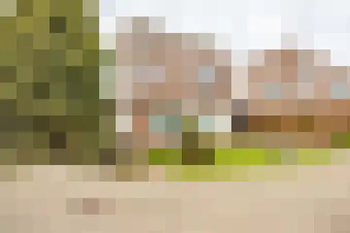 Pascherhof 3 Leunen thumbnail 48