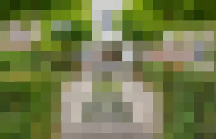 Pascherhof 44 Leunen thumbnail 35