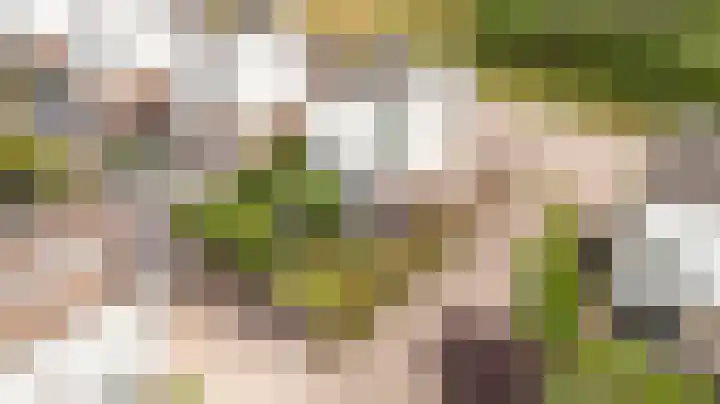Pascherhof 44 Leunen thumbnail 36