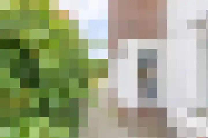 Pascherhof 44 Leunen thumbnail 37