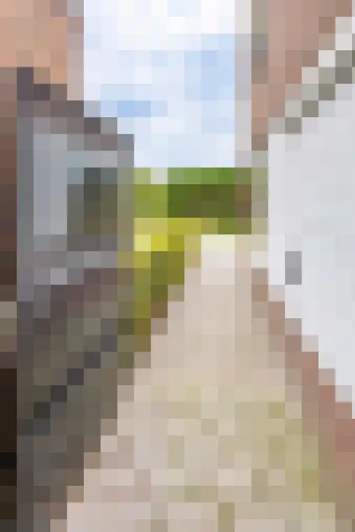 Pascherhof 44 Leunen thumbnail 38