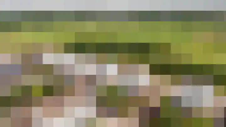 Pascherhof 44 Leunen thumbnail 5