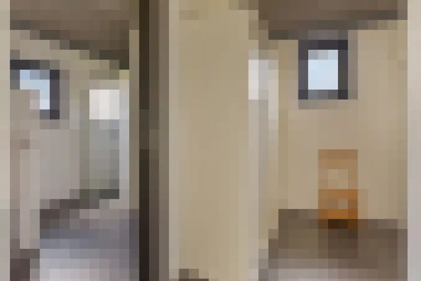 Pasdam 17 Sluis thumbnail 10