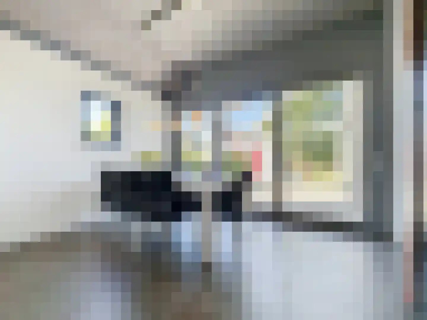 Pasdam 17 Sluis thumbnail 13
