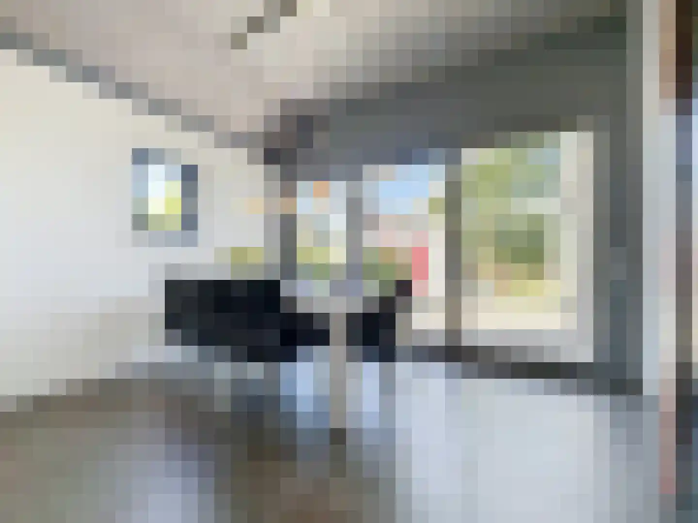 Pasdam 17 Sluis thumbnail 14