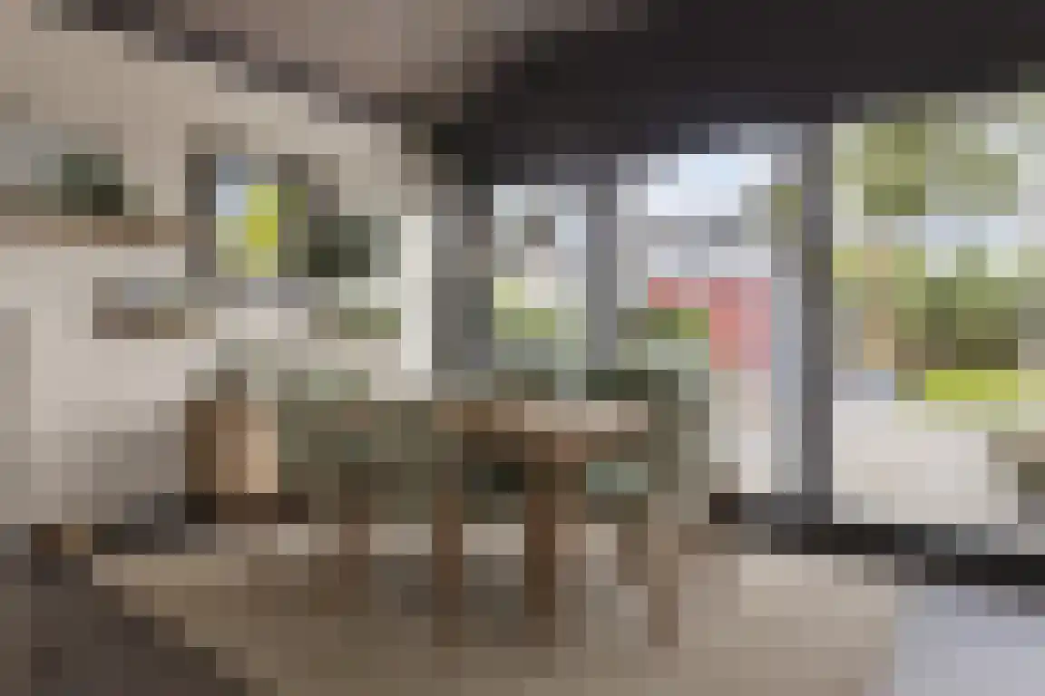 Pasdam 17 Sluis thumbnail 15