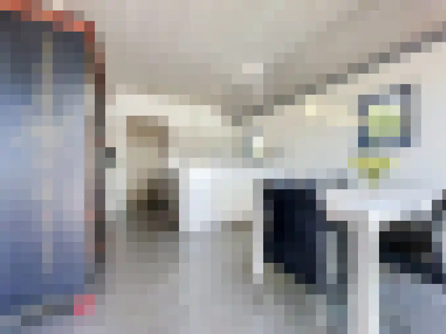 Pasdam 17 Sluis thumbnail 15