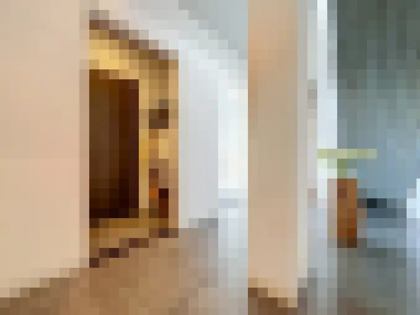 Pasdam 17 Sluis thumbnail 18