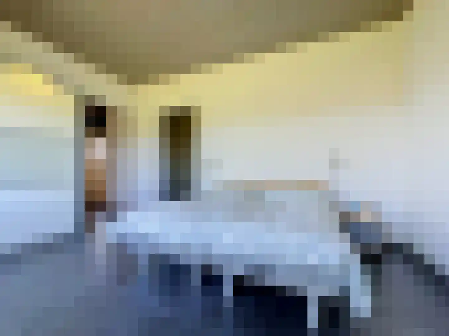 Pasdam 17 Sluis thumbnail 20
