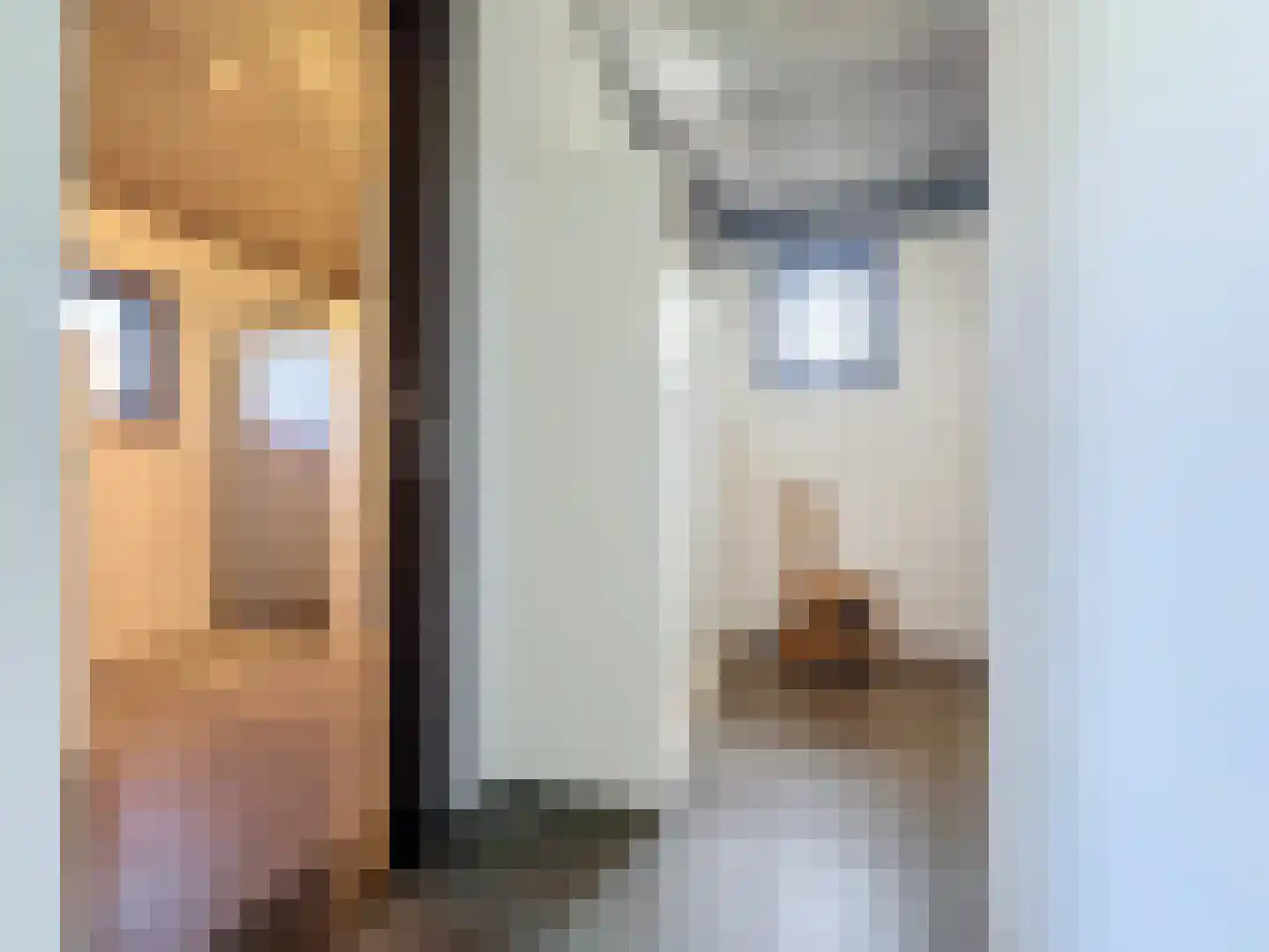 Pasdam 17 Sluis thumbnail 21