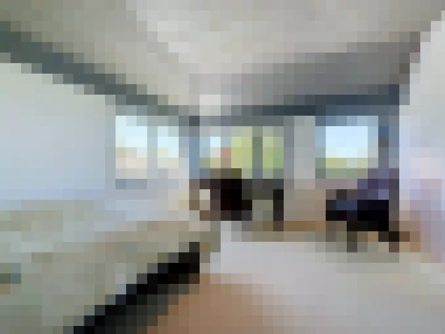 Pasdam 17 Sluis thumbnail 30