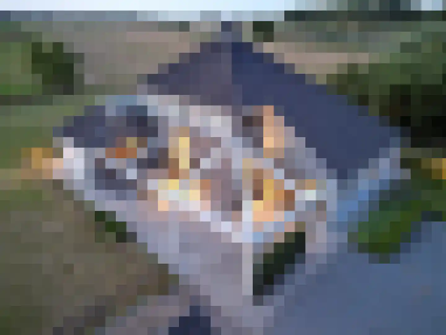 Pasdam 17 Sluis thumbnail 34