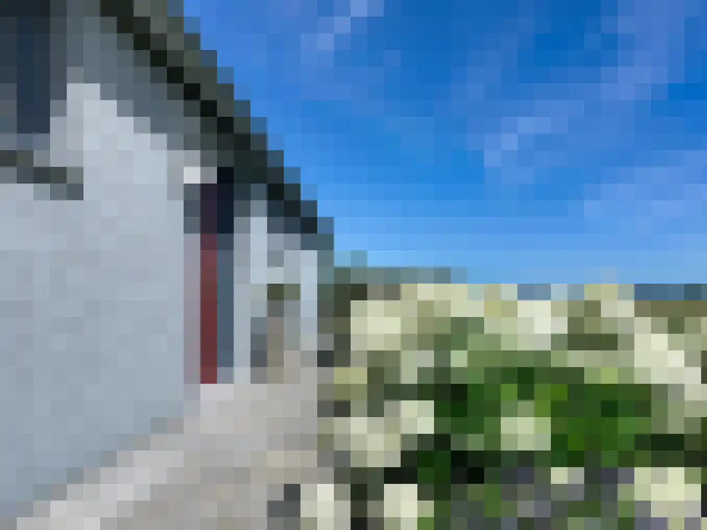 Pasdam 17 Sluis thumbnail 35