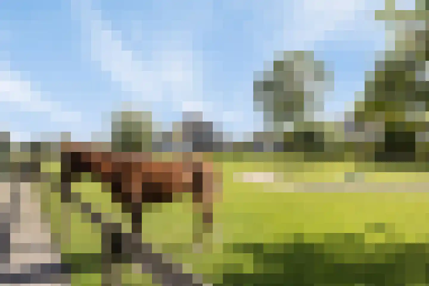 Pasdam 17 Sluis thumbnail 40