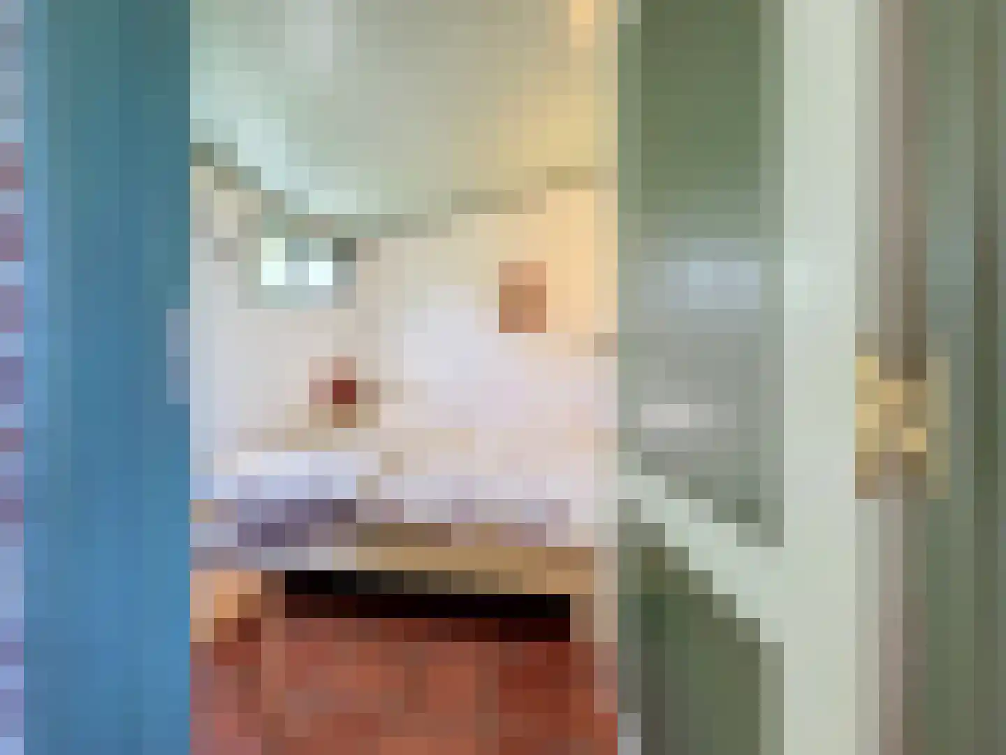 Pasdam 17 Sluis thumbnail 44