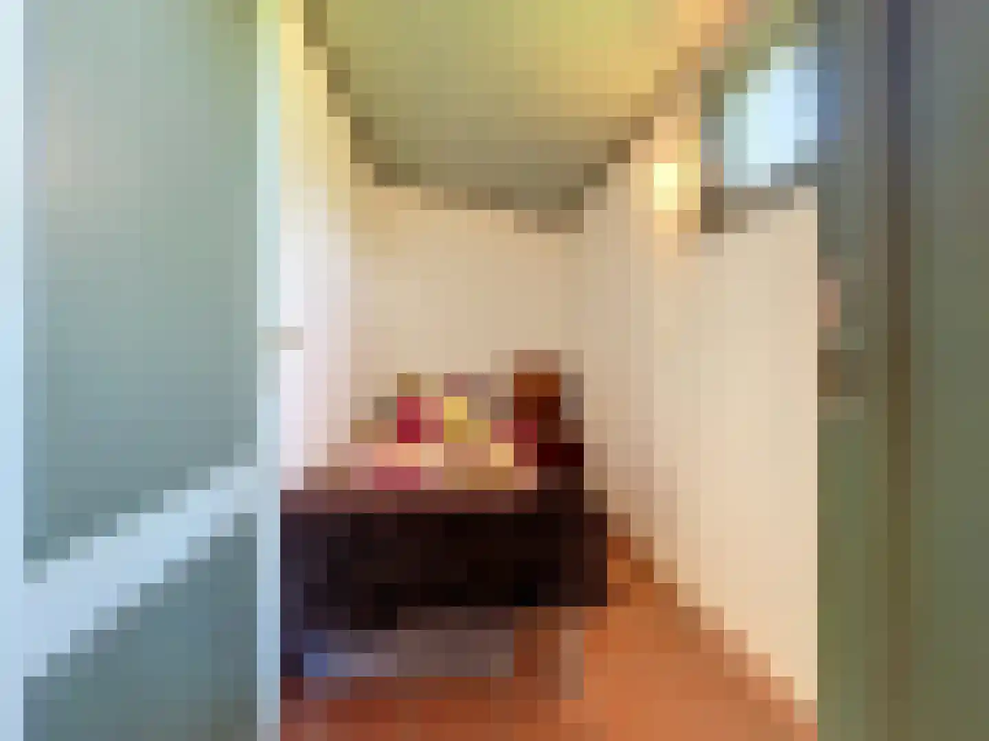 Pasdam 17 Sluis thumbnail 45