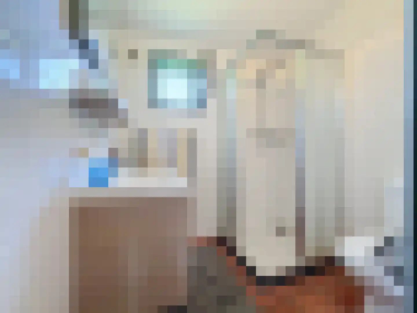 Pasdam 17 Sluis thumbnail 46