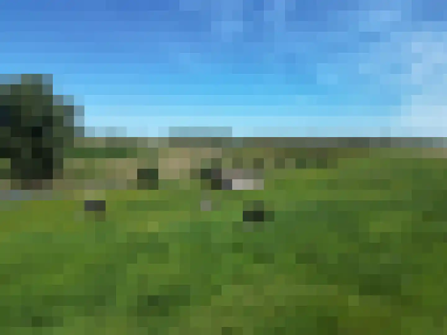 Pasdam 17 Sluis thumbnail 6